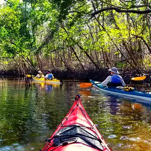 best canoe trips in florida